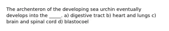 The archenteron of the developing sea urchin eventually develops into the _____. a) digestive tract b) heart and lungs c) brain and spinal cord d) blastocoel