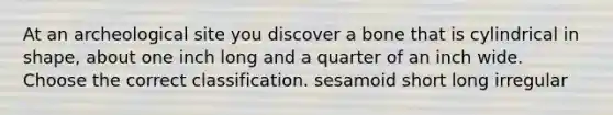At an archeological site you discover a bone that is cylindrical in shape, about one inch long and a quarter of an inch wide. Choose the correct classification. sesamoid short long irregular