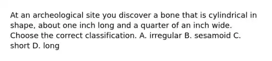At an archeological site you discover a bone that is cylindrical in shape, about one inch long and a quarter of an inch wide. Choose the correct classification. A. irregular B. sesamoid C. short D. long