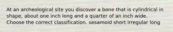 At an archeological site you discover a bone that is cylindrical in shape, about one inch long and a quarter of an inch wide. Choose the correct classification. sesamoid short irregular long
