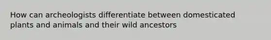 How can archeologists differentiate between domesticated plants and animals and their wild ancestors