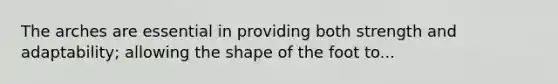 The arches are essential in providing both strength and adaptability; allowing the shape of the foot to...