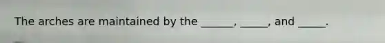 The arches are maintained by the ______, _____, and _____.