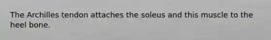 The Archilles tendon attaches the soleus and this muscle to the heel bone.