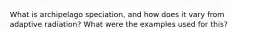 What is archipelago speciation, and how does it vary from adaptive radiation? What were the examples used for this?