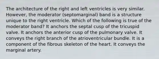 The architecture of the right and left ventricles is very similar. However, the moderator (septomarginal) band is a structure unique to the right ventricle. Which of the following is true of the moderator band? It anchors the septal cusp of the tricuspid valve. It anchors the anterior cusp of the pulmonary valve. It conveys the right branch of the atrioventricular bundle. It is a component of the fibrous skeleton of the heart. It conveys the marginal artery.