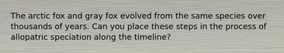 The arctic fox and gray fox evolved from the same species over thousands of years. Can you place these steps in the process of allopatric speciation along the timeline?