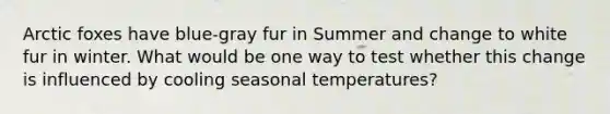 Arctic foxes have blue-gray fur in Summer and change to white fur in winter. What would be one way to test whether this change is influenced by cooling seasonal temperatures?