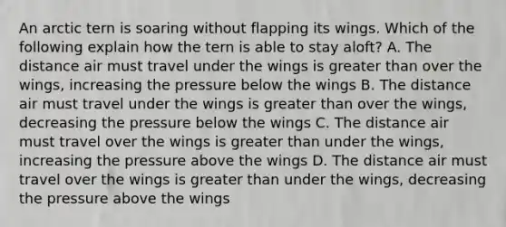 An arctic tern is soaring without flapping its wings. Which of the following explain how the tern is able to stay aloft? A. The distance air must travel under the wings is greater than over the wings, increasing the pressure below the wings B. The distance air must travel under the wings is greater than over the wings, decreasing the pressure below the wings C. The distance air must travel over the wings is greater than under the wings, increasing the pressure above the wings D. The distance air must travel over the wings is greater than under the wings, decreasing the pressure above the wings