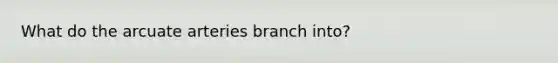 What do the arcuate arteries branch into?