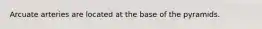 Arcuate arteries are located at the base of the pyramids.