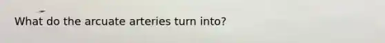 What do the arcuate arteries turn into?