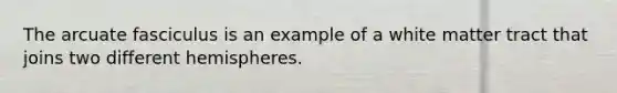 The arcuate fasciculus is an example of a white matter tract that joins two different hemispheres.