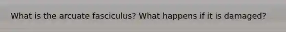 What is the arcuate fasciculus? What happens if it is damaged?
