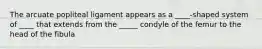 The arcuate popliteal ligament appears as a ____-shaped system of ____ that extends from the _____ condyle of the femur to the head of the fibula