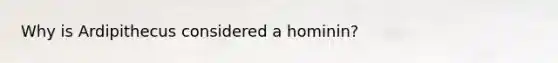 Why is Ardipithecus considered a hominin?