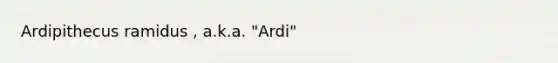 Ardipithecus ramidus , a.k.a. "Ardi"