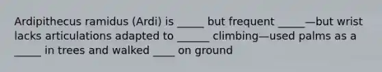 Ardipithecus ramidus (Ardi) is _____ but frequent _____—but wrist lacks articulations adapted to ______ climbing—used palms as a _____ in trees and walked ____ on ground