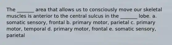 The _______ area that allows us to consciously move our skeletal muscles is anterior to the central sulcus in the _______ lobe. a. somatic sensory, frontal b. primary motor, parietal c. primary motor, temporal d. primary motor, frontal e. somatic sensory, parietal