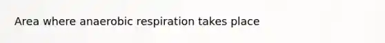 Area where anaerobic respiration takes place
