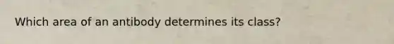 Which area of an antibody determines its class?