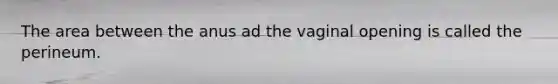 The area between the anus ad the vaginal opening is called the perineum.