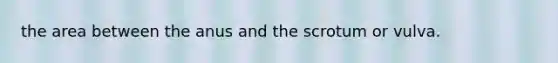 the area between the anus and the scrotum or vulva.