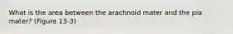 What is the area between the arachnoid mater and the pia mater? (Figure 13-3)