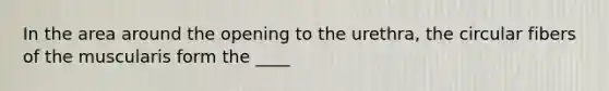 In the area around the opening to the urethra, the circular fibers of the muscularis form the ____