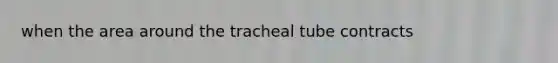 when the area around the tracheal tube contracts