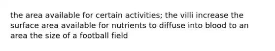 the area available for certain activities; the villi increase the surface area available for nutrients to diffuse into blood to an area the size of a football field