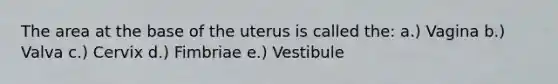 The area at the base of the uterus is called the: a.) Vagina b.) Valva c.) Cervix d.) Fimbriae e.) Vestibule