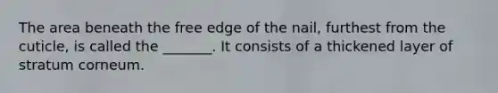 The area beneath the free edge of the nail, furthest from the cuticle, is called the _______. It consists of a thickened layer of stratum corneum.