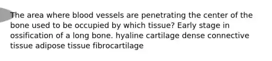 The area where blood vessels are penetrating the center of the bone used to be occupied by which tissue? Early stage in ossification of a long bone. hyaline cartilage dense connective tissue adipose tissue fibrocartilage