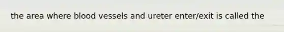 the area where blood vessels and ureter enter/exit is called the