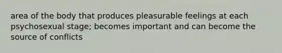 area of the body that produces pleasurable feelings at each psychosexual stage; becomes important and can become the source of conflicts