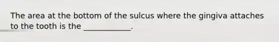 The area at the bottom of the sulcus where the gingiva attaches to the tooth is the ____________.