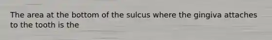 The area at the bottom of the sulcus where the gingiva attaches to the tooth is the