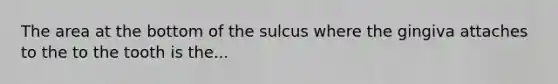 The area at the bottom of the sulcus where the gingiva attaches to the to the tooth is the...