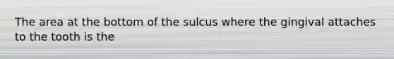 The area at the bottom of the sulcus where the gingival attaches to the tooth is the