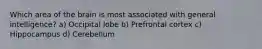 Which area of the brain is most associated with general intelligence? a) Occipital lobe b) Prefrontal cortex c) Hippocampus d) Cerebellum