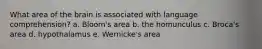 What area of the brain is associated with language comprehension? a. Bloom's area b. the homunculus c. Broca's area d. hypothalamus e. Wernicke's area