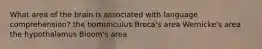 ​What area of the brain is associated with language comprehension? ​the homunculus ​Broca's area ​Wernicke's area ​the hypothalamus ​Bloom's area