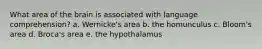 What area of the brain is associated with language comprehension? a. ​Wernicke's area b. ​the homunculus c. ​Bloom's area d. ​Broca's area e. ​the hypothalamus