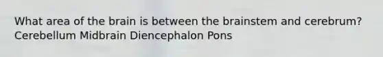 What area of the brain is between the brainstem and cerebrum? Cerebellum Midbrain Diencephalon Pons