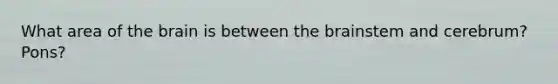 What area of the brain is between the brainstem and cerebrum? Pons?