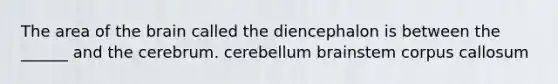 The area of <a href='https://www.questionai.com/knowledge/kLMtJeqKp6-the-brain' class='anchor-knowledge'>the brain</a> called the diencephalon is between the ______ and the cerebrum. cerebellum brainstem corpus callosum