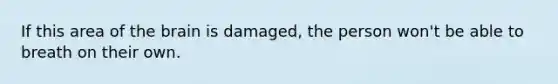 If this area of the brain is damaged, the person won't be able to breath on their own.