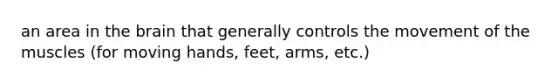 an area in the brain that generally controls the movement of the muscles (for moving hands, feet, arms, etc.)