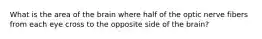 What is the area of the brain where half of the optic nerve fibers from each eye cross to the opposite side of the brain?